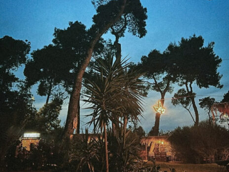 Jacy at the Garden Club