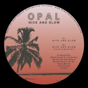 Opal {{brizy_dc_image_alt imageSrc=