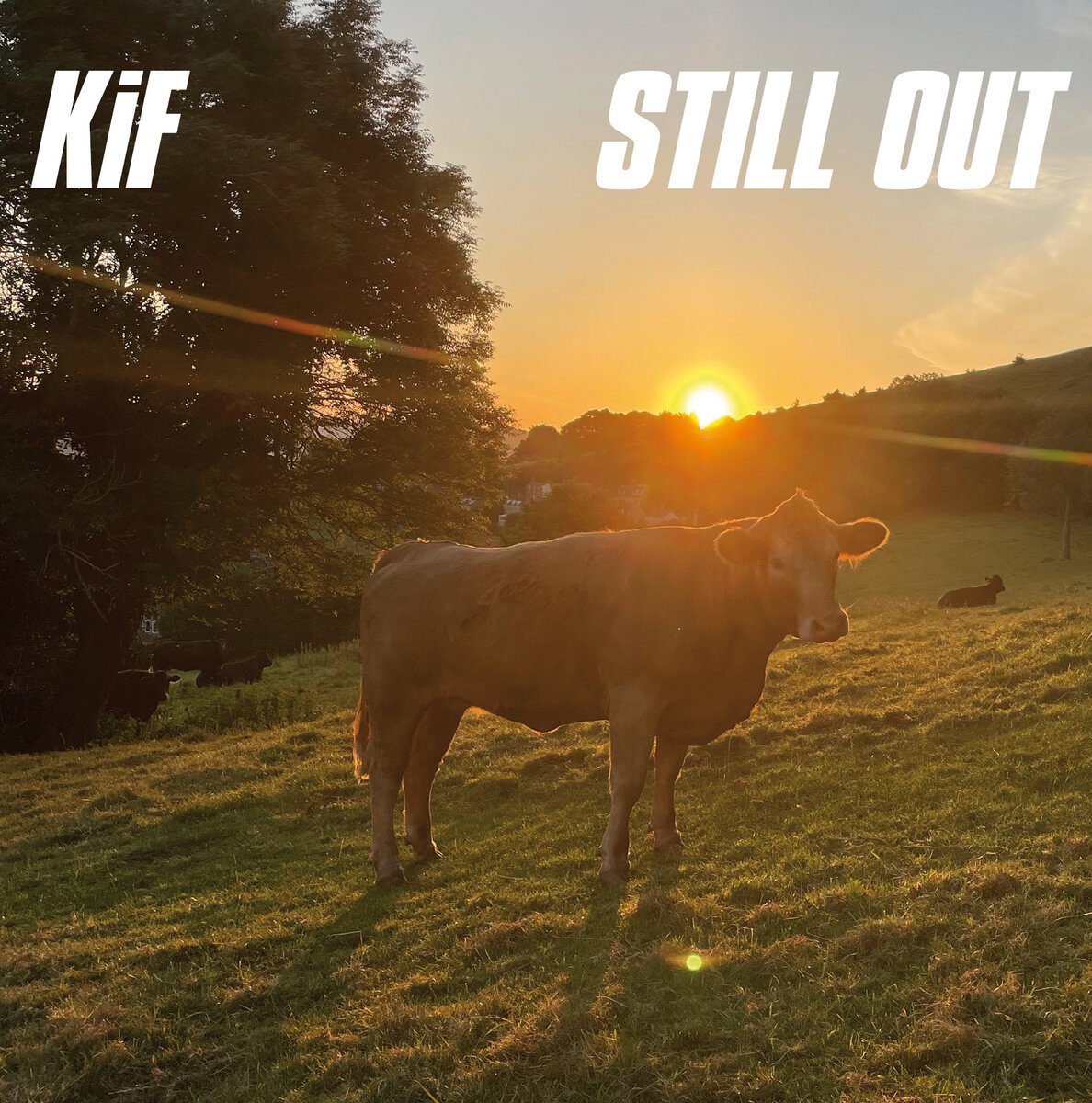 KiF - Still Out